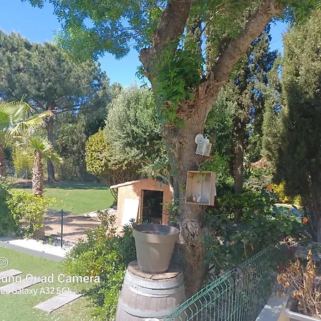 Villa Magnifique Avec Piscine 10x5 M Sur 1800m2 De Terrain Avec Parking Privatif Cuisine Recente Equpee 3 Dont 2 Parental Au Rdc Avec Wc Separe Pas De Vis A Vis Terrain De Petanque Bbq Climatisation Jeux Enfants *