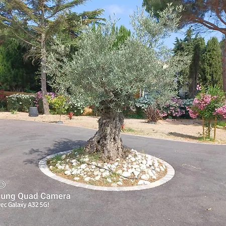 Magnifique Avec Piscine 10x5 M Sur 1800m2 De Terrain Avec Parking Privatif Cuisine Recente Equpee 3 Dont 2 Parental Au Rdc Avec Wc Separe Pas De Vis à Vis Terrain De Petanque Bbq Climatisation Jeux Enfants Villa Sérignan