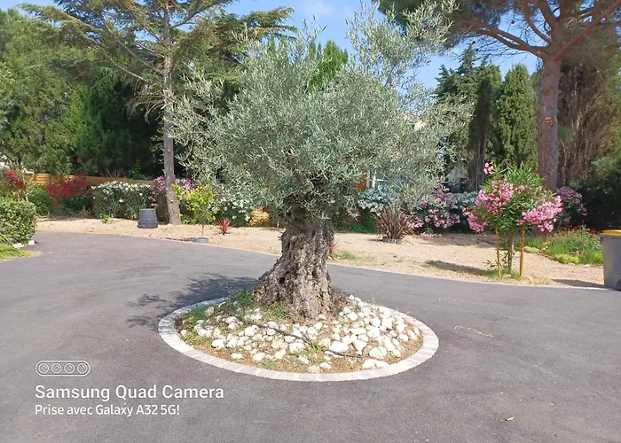 Magnifique Avec Piscine 10x5 M Sur 1800m2 De Terrain Avec Parking Privatif Cuisine Recente Equpee 3 Dont 2 Parental Au Rdc Avec Wc Separe Pas De Vis à Vis Terrain De Petanque Bbq Climatisation Jeux Enfants Villa Sérignan